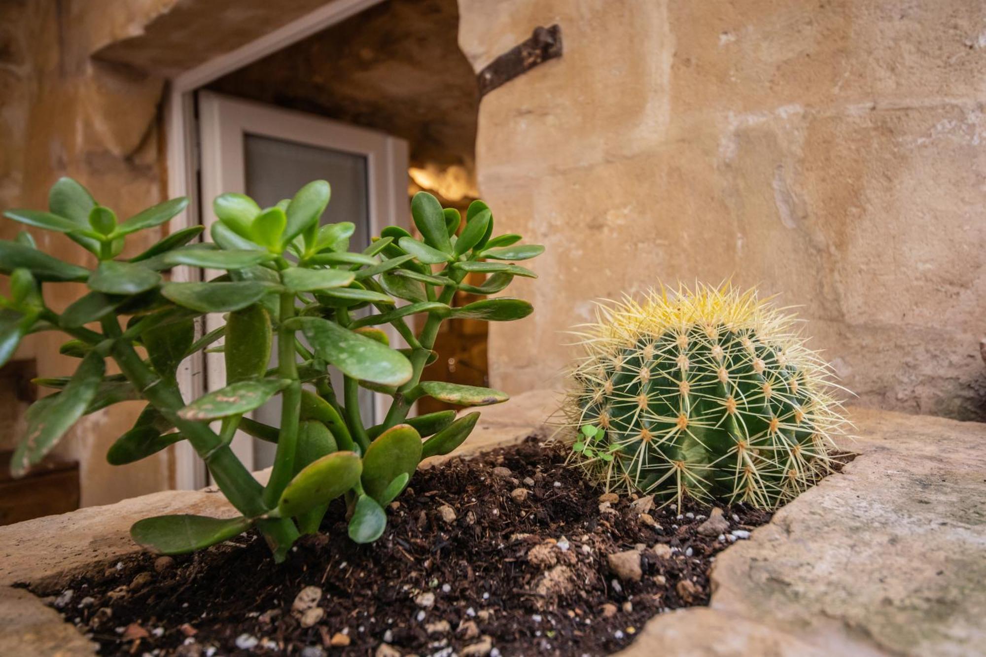 San Biagio Nei Sassi Apartment Matera